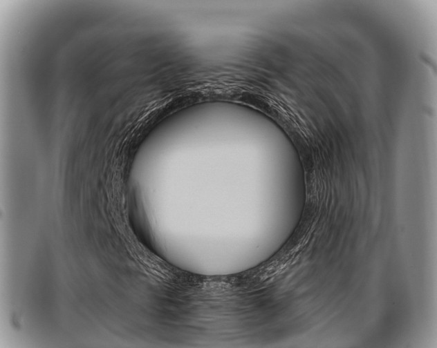 X0000097291297200802151049
