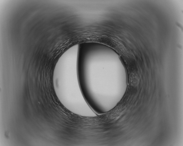 X0000097291298200802151049
