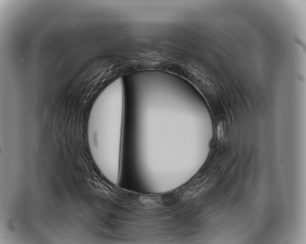 X0000097291299200802151049