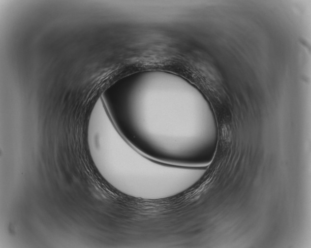 X0000097291300200802151049