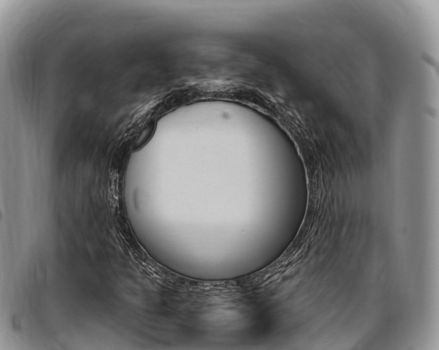 X0000097291301200802151049