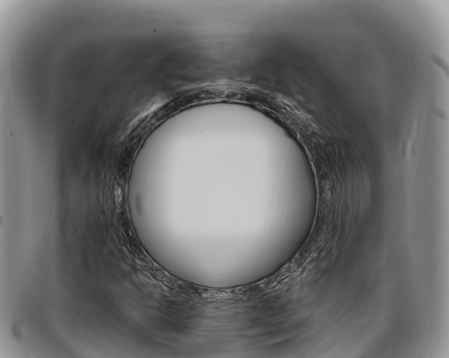 X0000097291302200802151049