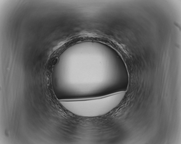 X0000097291303200802151049