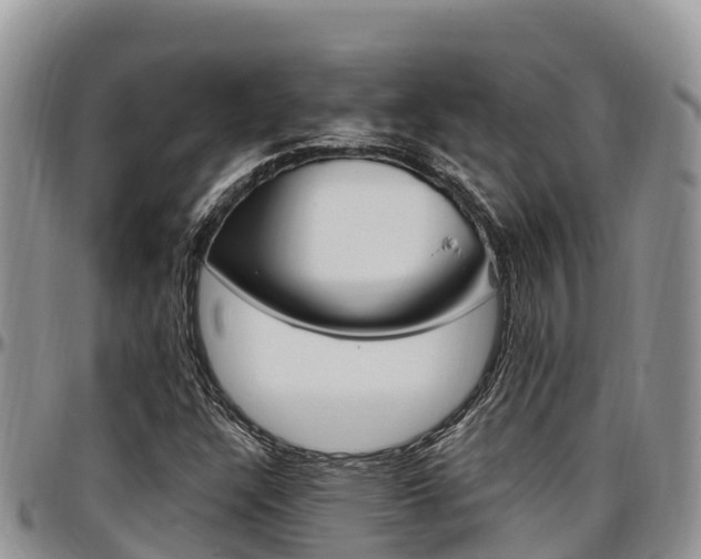 X0000097291304200802151049