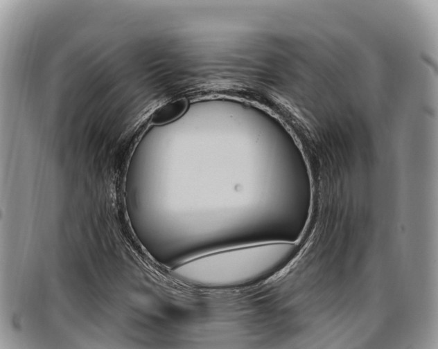 X0000097291305200802151049