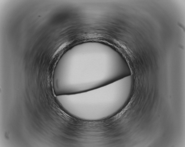 X0000097291306200802151049