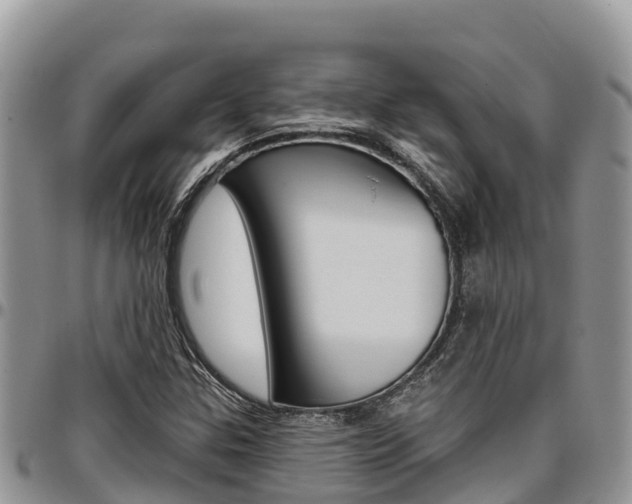 X0000097291307200802151049