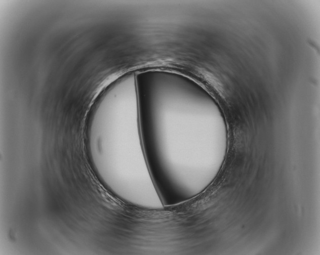 X0000097291308200802151049
