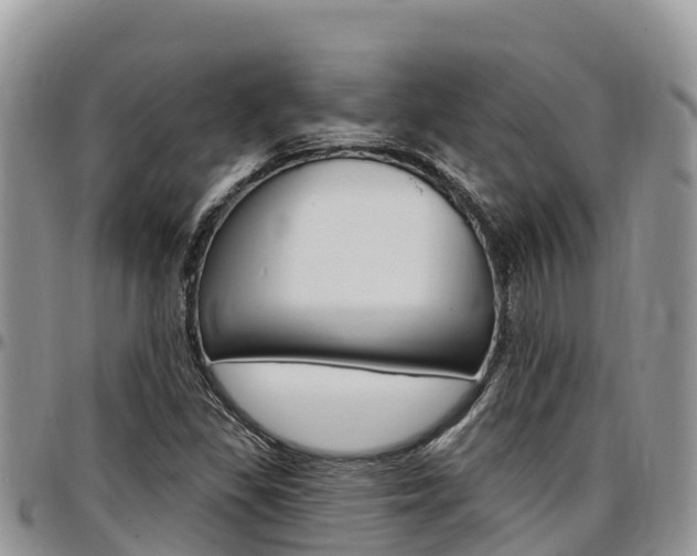 X0000097291309200802151049