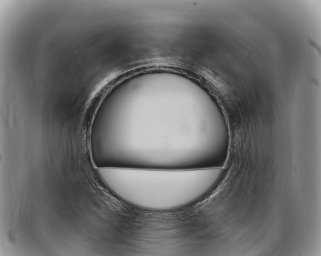 X0000097291310200802151049