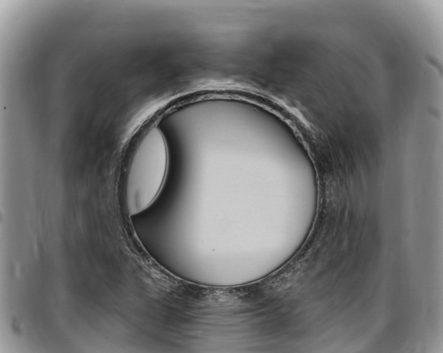 X0000097291311200802151049