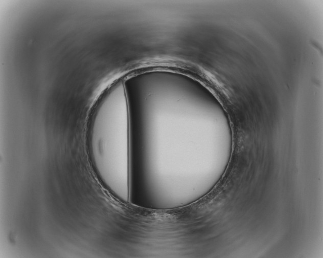 X0000097291312200802151049