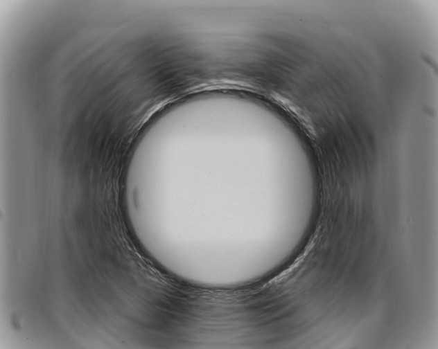 X0000097291313200802151049