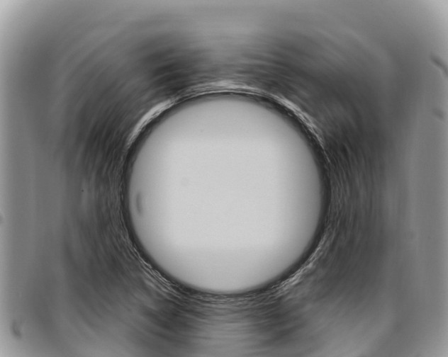 X0000097291314200802151049