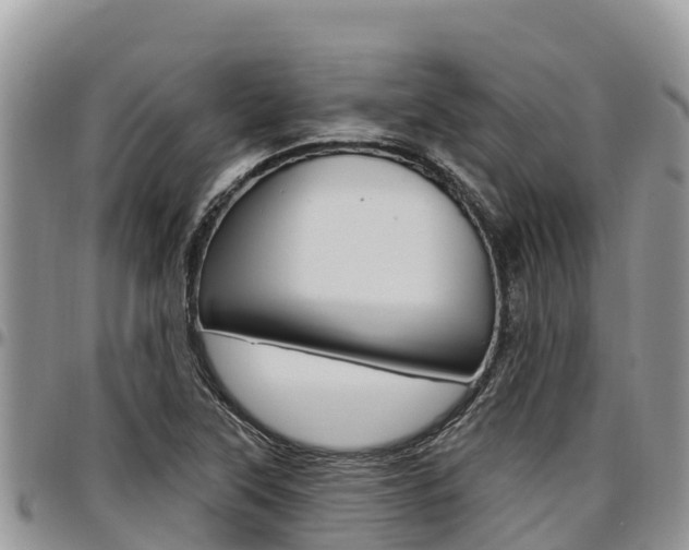 X0000097291315200802151049