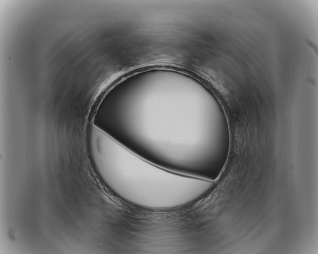 X0000097291316200802151049