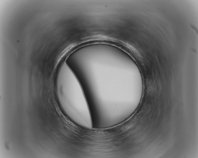 X0000097291318200802151049