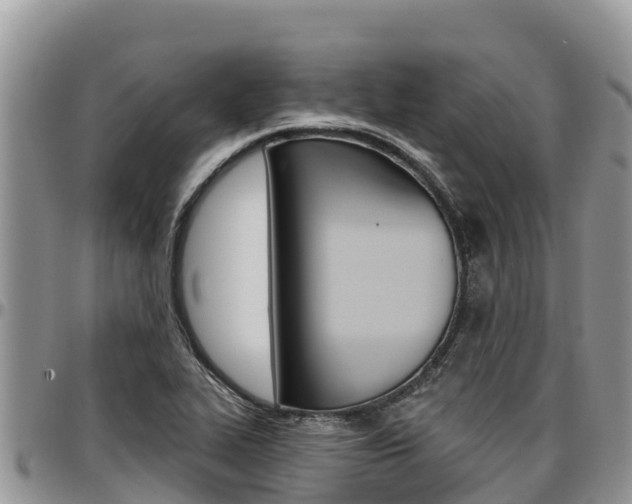 X0000097291319200802151049