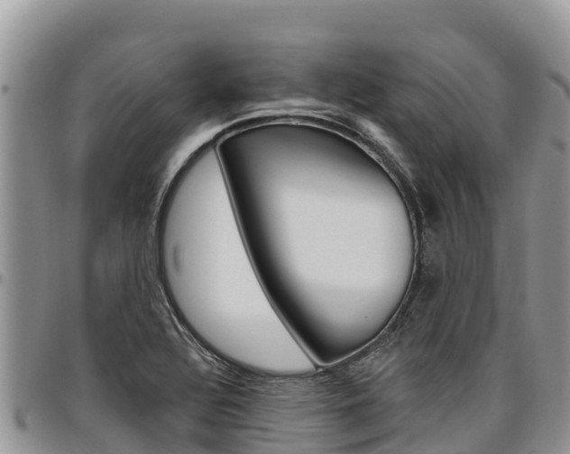 X0000097291320200802151049
