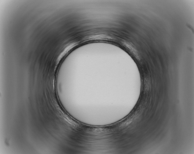 X0000097291322200802151049