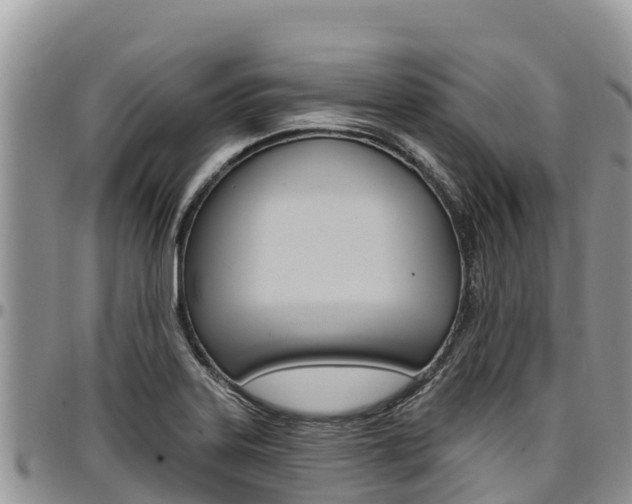 X0000097291323200802151049