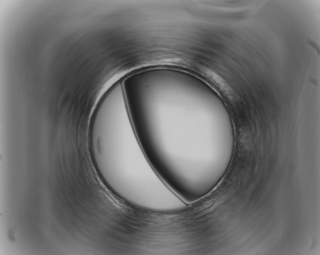 X0000097291324200802151049
