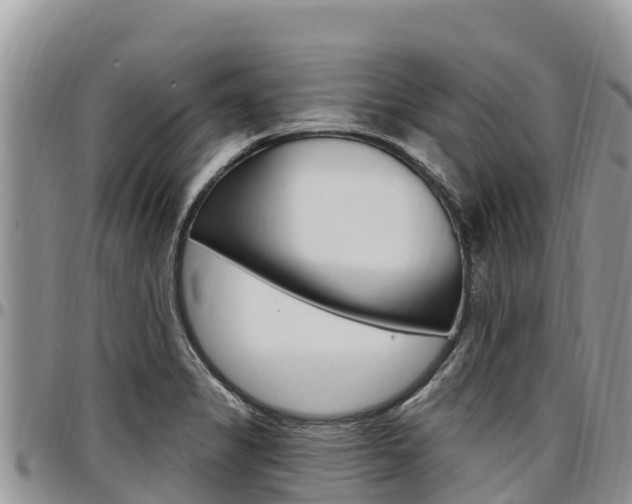 X0000097291325200802151049