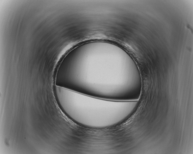 X0000097291326200802151049