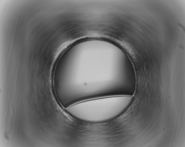 X0000097291327200802151049