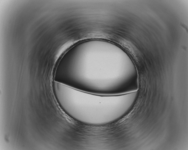 X0000097291328200802151049