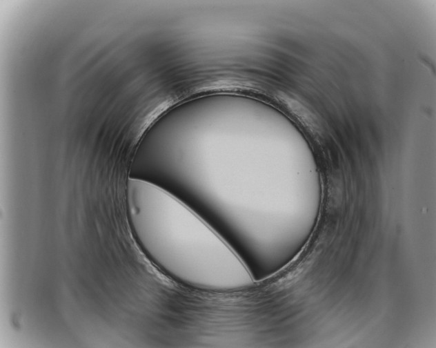 X0000097291329200802151049
