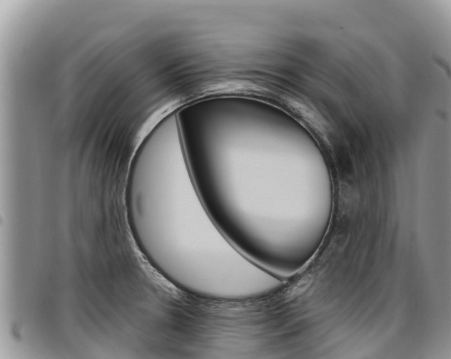 X0000097291330200802151049