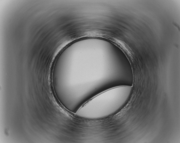 X0000097291331200802151049