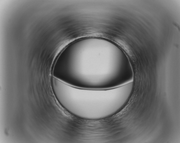 X0000097291332200802151049