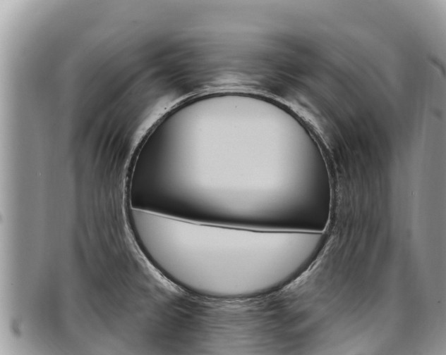 X0000097291333200802151050
