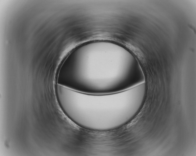 X0000097291334200802151050