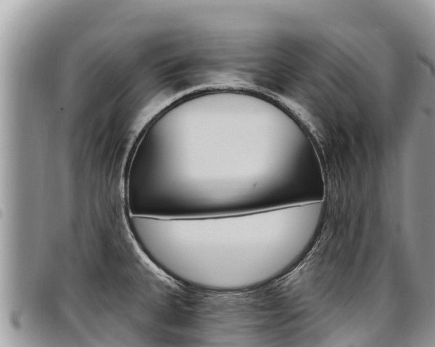 X0000097291335200802151050