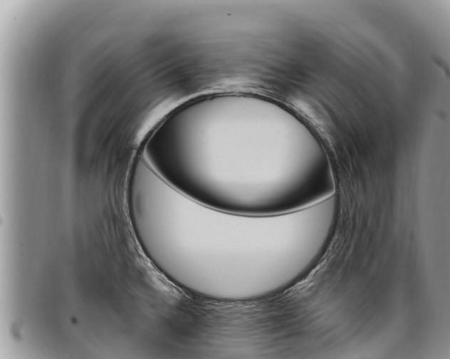 X0000097291336200802151050