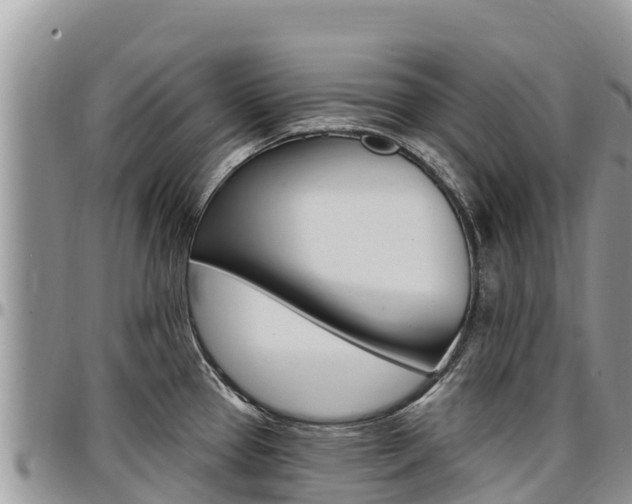 X0000097291337200802151050