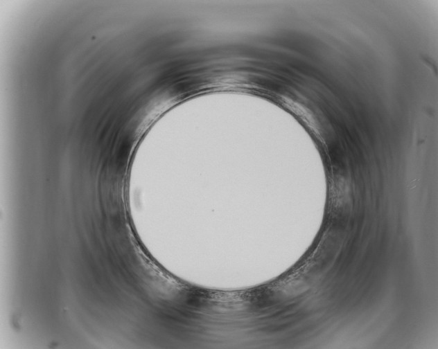 X0000097291338200802151050