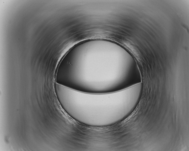 X0000097291340200802151050