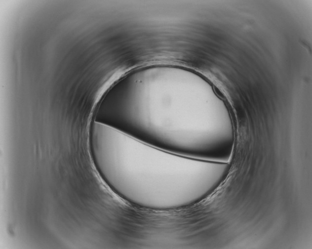 X0000097291341200802151050