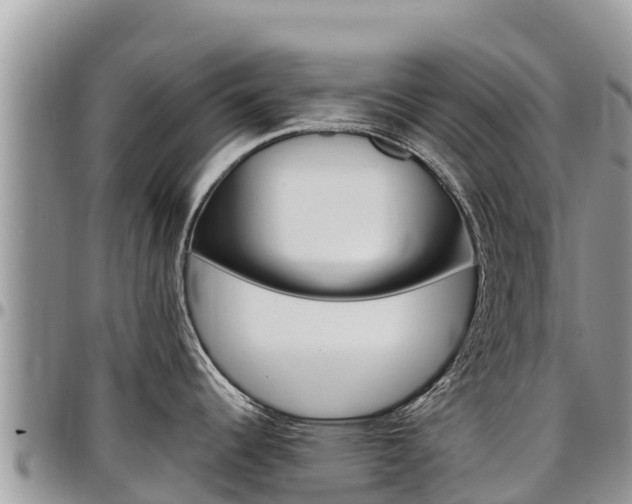 X0000097291344200802151050