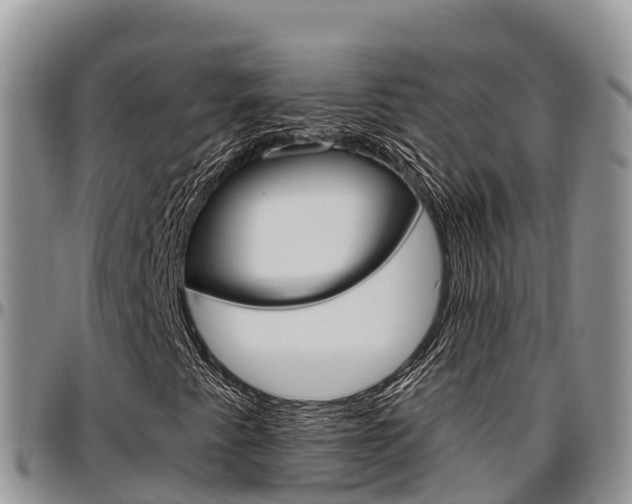 X0000097291345200802151049