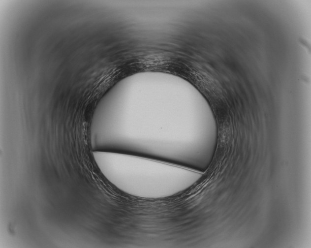 X0000097291346200802151049