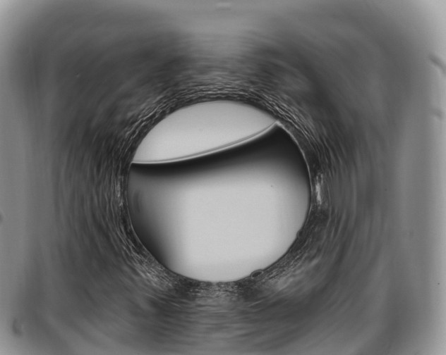 X0000097291347200802151049
