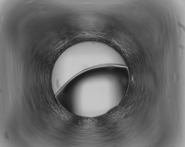 X0000097291348200802151049