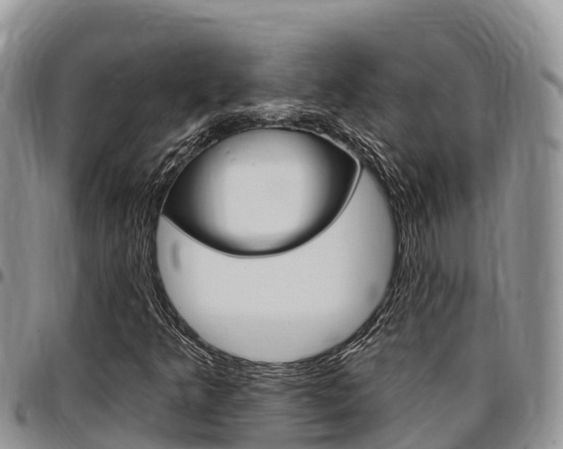 X0000097291349200802151049