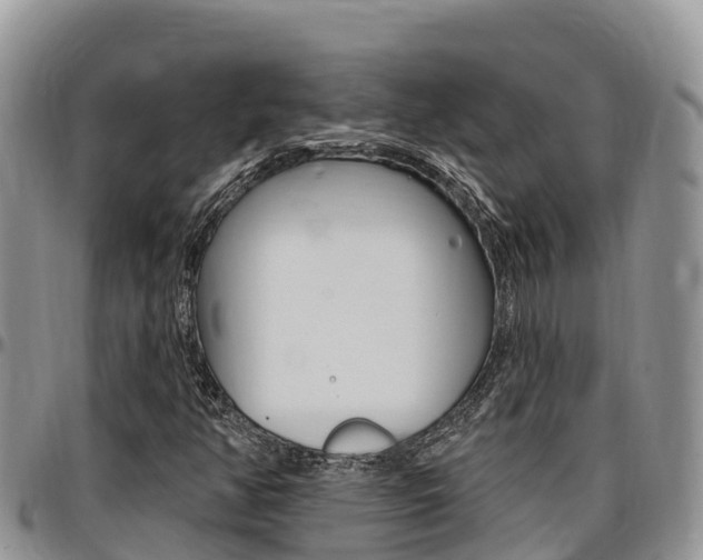 X0000097291350200802151049
