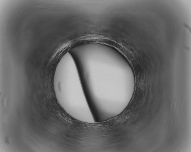 X0000097291351200802151049